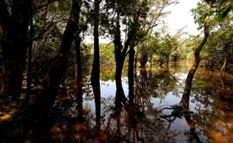 A Constituição do Equador protege a natureza. Agora isso está em risco
 - Printis