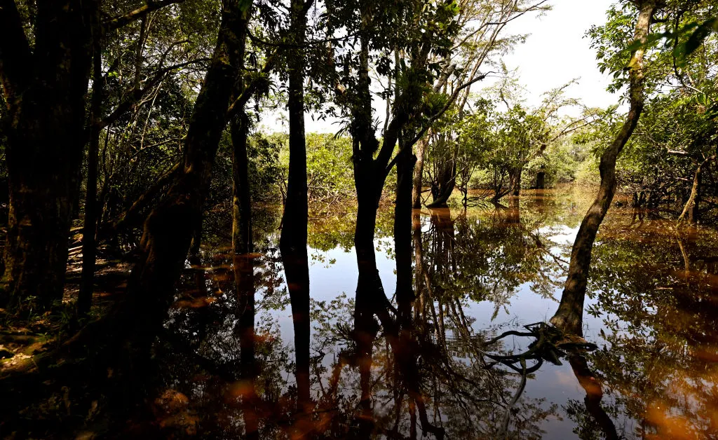 A Constituição do Equador protege a natureza. Agora isso está em risco
 - Printis
