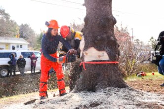 A viagem de férias da família do prefeito de Boston Wu para a Nova Escócia custou aos contribuintes US$ 5 mil
 - Printis