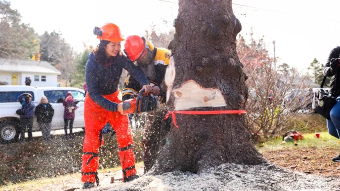 A viagem de férias da família do prefeito de Boston Wu para a Nova Escócia custou aos contribuintes US$ 5 mil
 - Printis