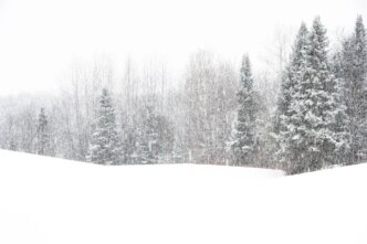 Alerta de tempestade de inverno com 16 polegadas de neve atingindo o Nordeste
 - Printis