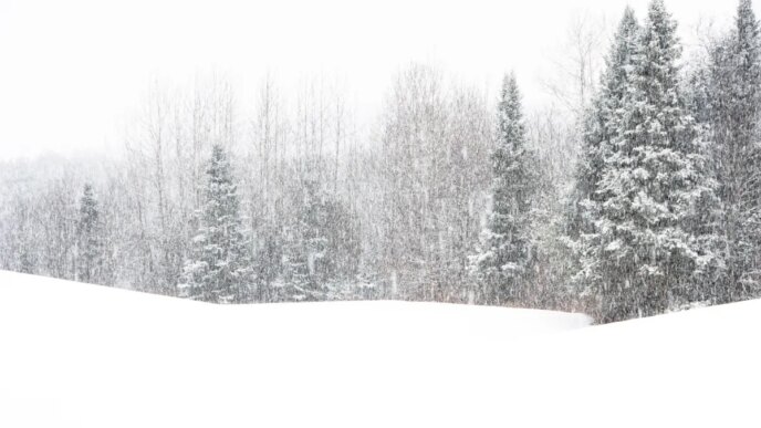 Alerta de tempestade de inverno com 16 polegadas de neve atingindo o Nordeste
 - Printis