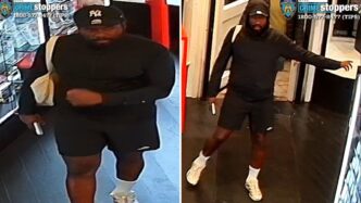 Homem rouba mais de US$ 9.700 em cartões de beisebol e Pokémon da loja CardVault de Tom Brady no SoHo, Nova York
 - Printis