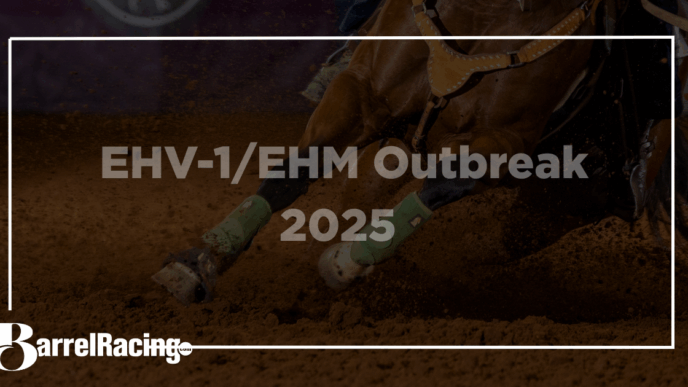 O que saber sobre EHV-1/EHM 2025
 - Printis