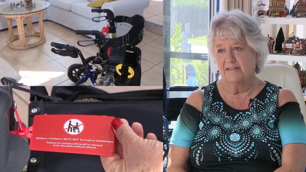 SeaWorld Orlando não permite mais caminhantes sentados em seu parque temático: 'Decepcionante'
 - Printis