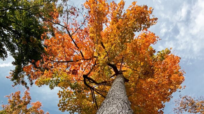 Tempo mais ameno pela frente
 - Printis